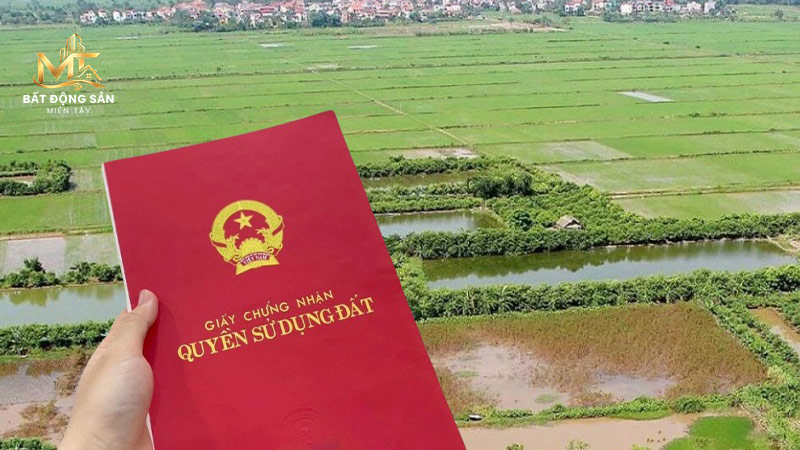 có nên đầu tư đất nông nghiệp không